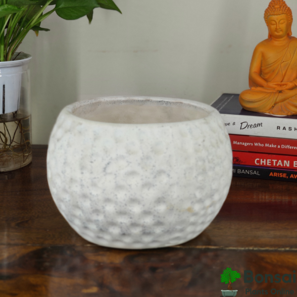 Get this beautiful football-style ceramic bonsai pot